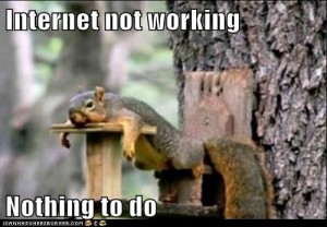 squirrel-no-internet